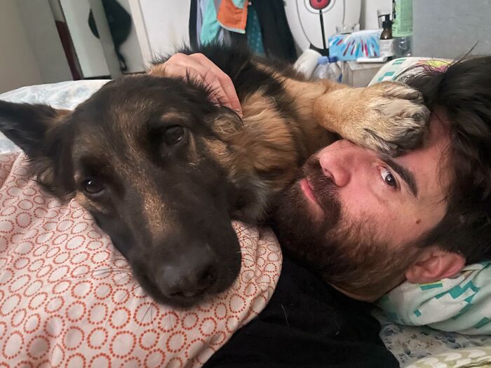 My Shep Has Great Respect For Personal Space