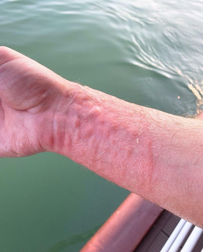 Go Swimming In Halong Bay (Vietnam) The Tour Guide Said (Without A Jellyfish Disclaimer)