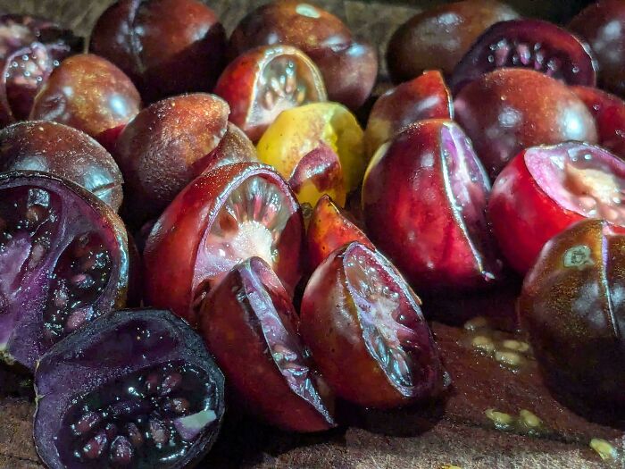 Close-up of sliced colorful tomatoes resembling a Renaissance painting.