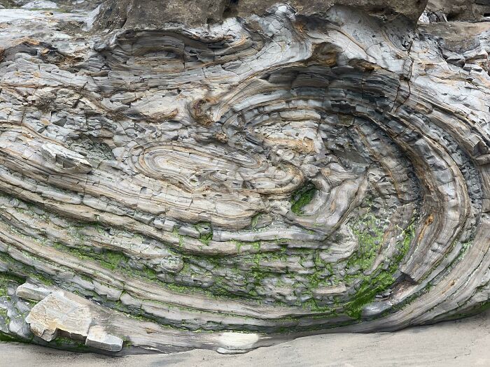 Convolute Bedding At Scripps Beach In San Diego