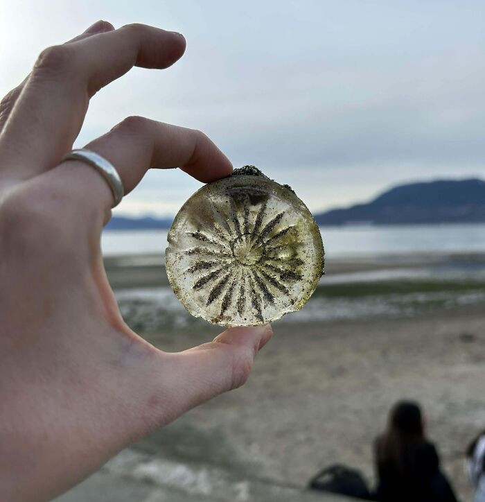 Kitsilano Beach, Bc. Cool Design On A Bottom Of A Bottle. My Best Find So Far