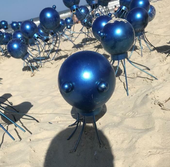 What Is This Thing My Friend Found In Australia On The Beach?