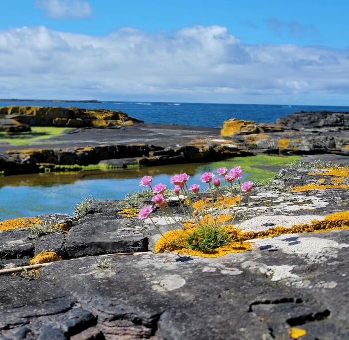 Yesterday At Kilkee Beach