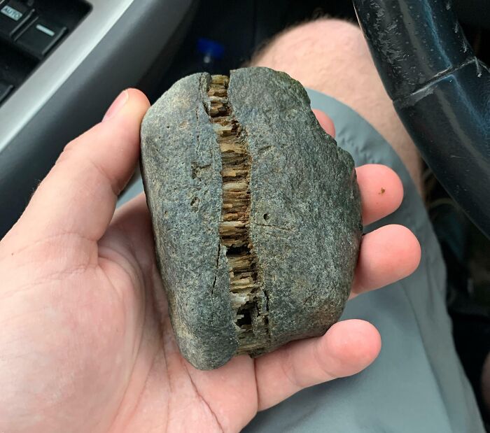 Could Someone Help Me Understand What On Earth Is Going On With This Rock? Found It At The Beach A Few Hours Ago. Never Seen Anything Like It