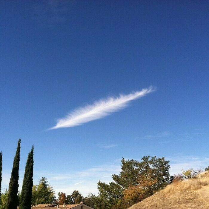 This Cloud Looks Like A Feather