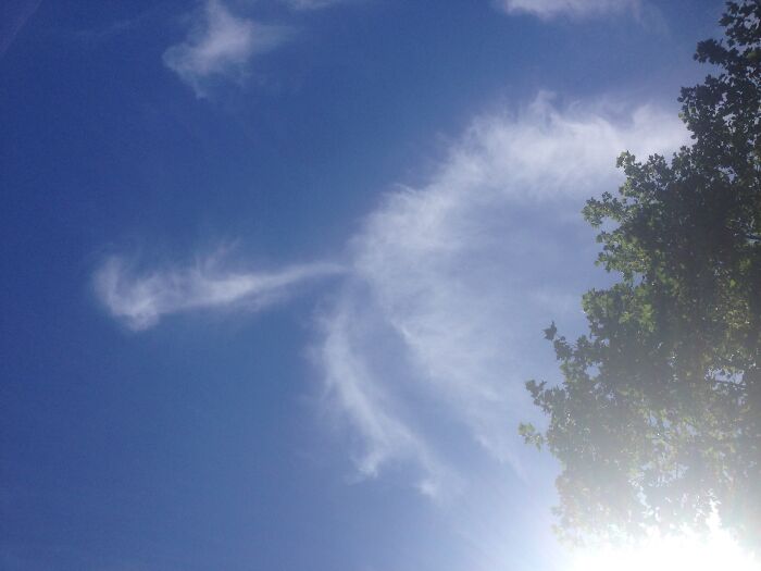 Colleague Spotted This Cloud That Looks Like A Farting Bum