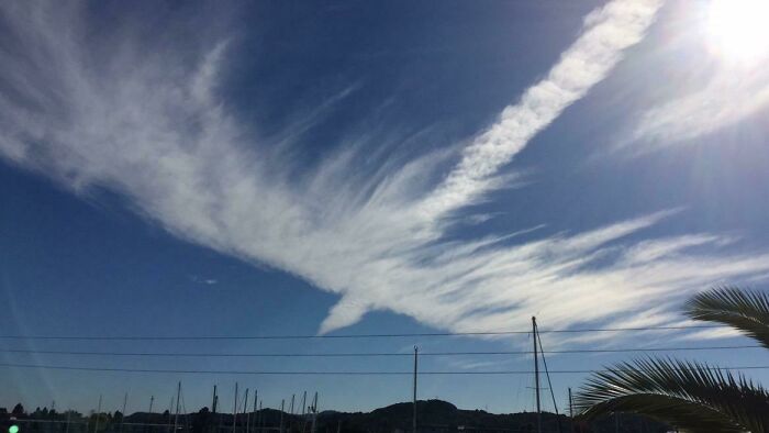 The Clouds Outside My House Looked Like A Phoenix