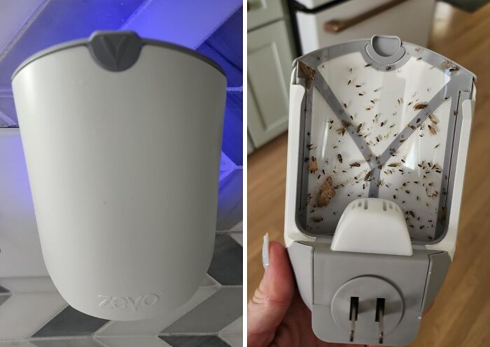 Catch Those Pesky Pests With The Insect Trap For Indoors, A UV-Powered Solution To Unwanted Insects In Your Home!