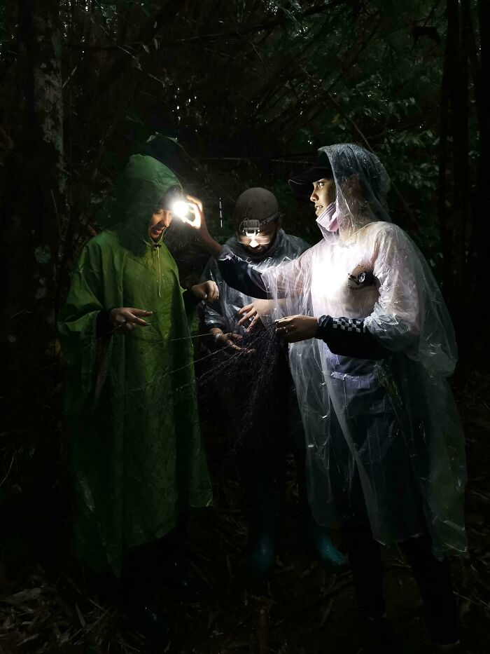 People in raincoats, illuminated by headlamps in a dark forest, resembling Renaissance painting styles.