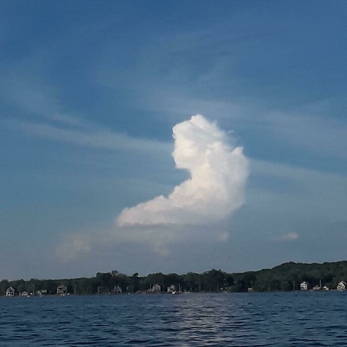 Went Boating On Saratoga Lake, NY And Saw This Cloud That Looks Like A Victorian Lady