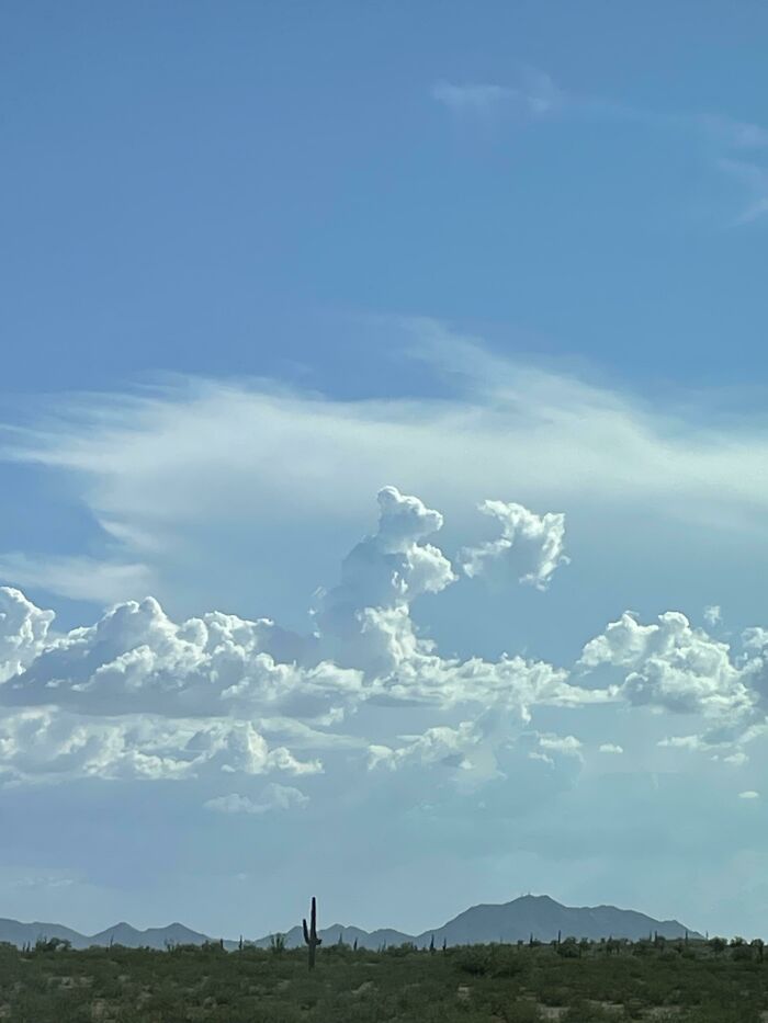 Just A Bear Cloud