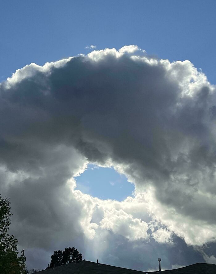 Doughnut Cloud