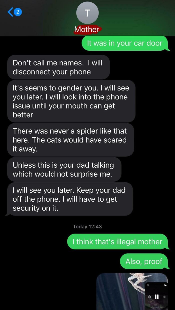 My Mother Thought She Was The Spider I Was Talking About And Then Assumed I Was My Father