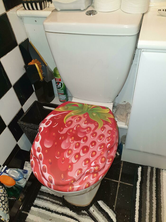 My Aunt's Toilet Seat