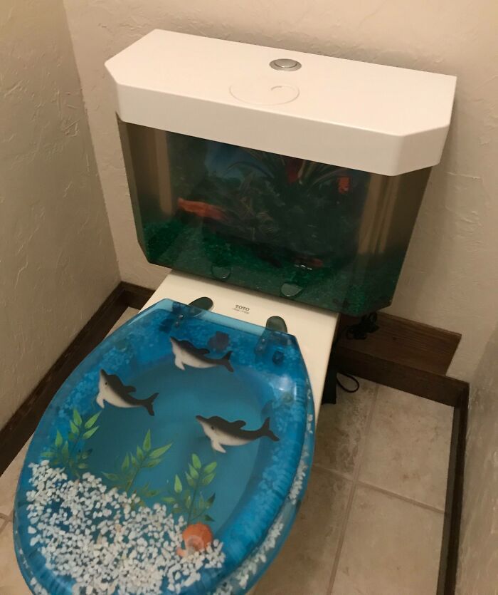 My Mom Is A Realtor, Today She Showed A House With A Live Betta Fish In A Toilet Tank. Apparently It Flushes From A Second Tank Hidden Behind It