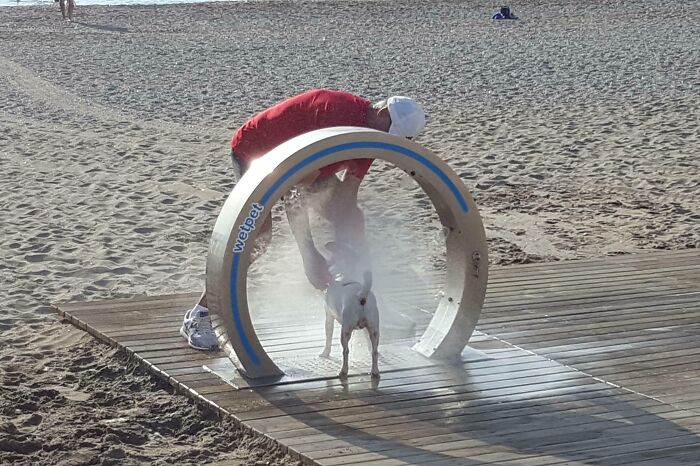 This Spanish Beach Has Showers For Dogs