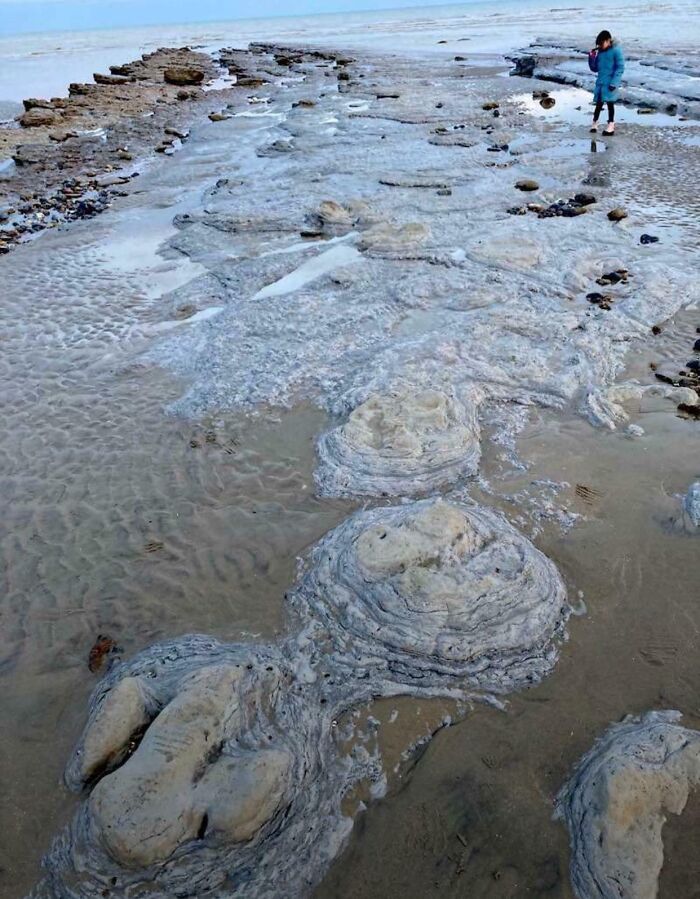 Dinosaur Footprints On An Eroded Beach