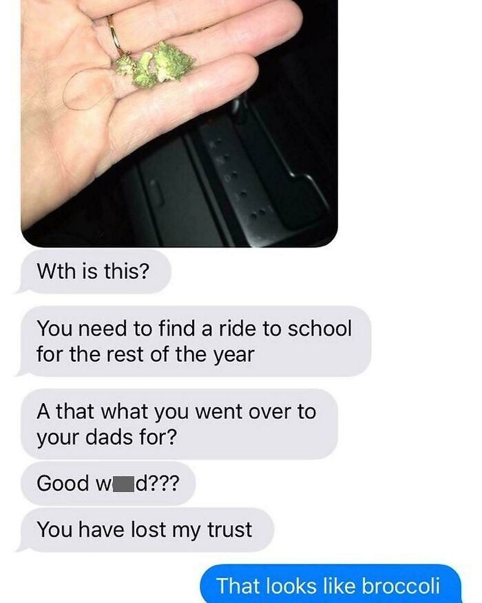 My Mom Thought She Found Weed In My Sisters Car