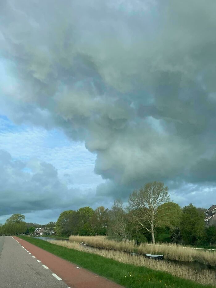 Cloud Head