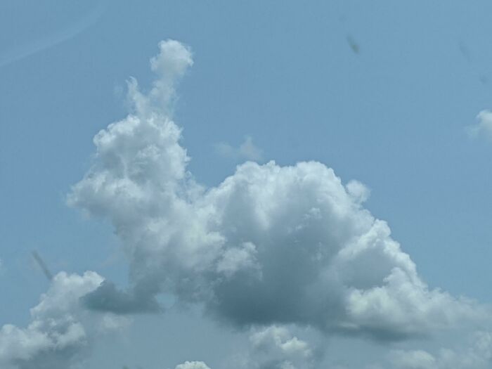 Bunny Cloud