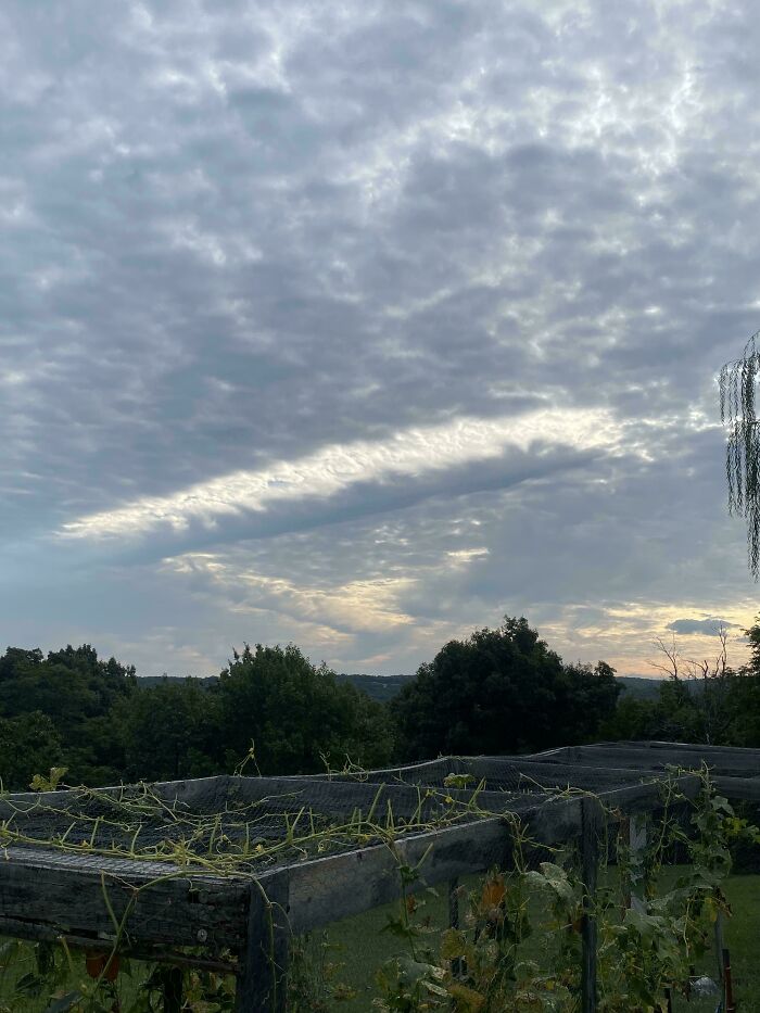 This Cloud I Saw The Other Day