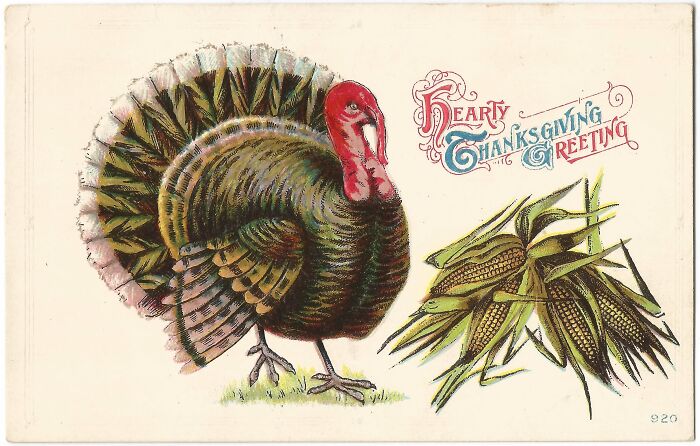 Vintage Thanksgiving Postcard