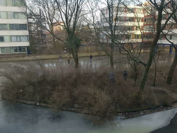 For The First Time In 5+ Years The Island Beside My House Can Be Walked To On Ice. My Neighbors Immediately Walked Over With Trash Bags To Start Cleaning It