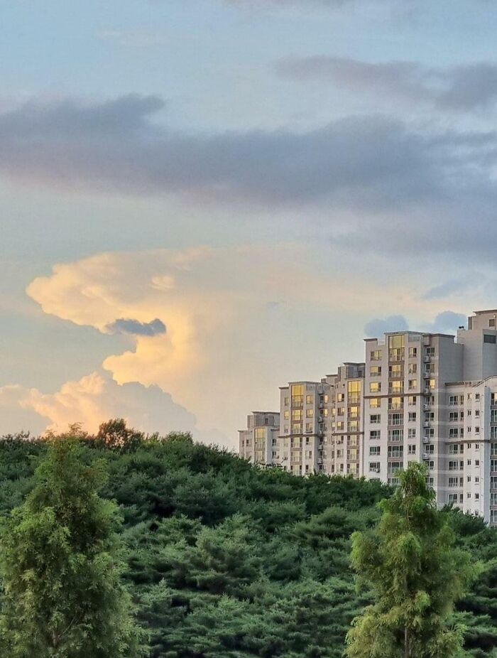 This Cloud Shaped Like A Great White Shark