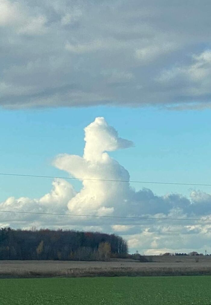 A Cloud That Looks Like A Praying Cat