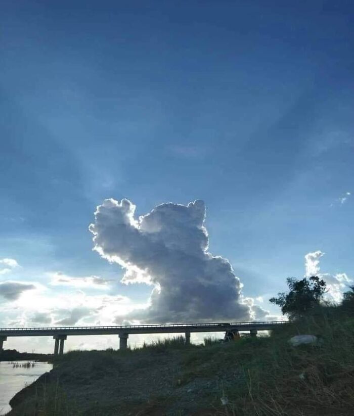 Cloud Looks Like A Cat Reaching For The Sky