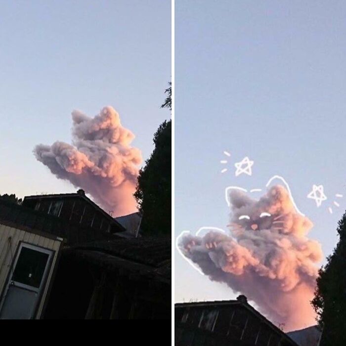 This Cloud Looks Like A Cat, And A Dog