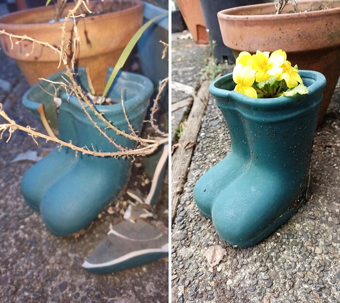 My Sweet Little Elderly Neighbor Had So Many Pots Break Outside This Winter And These Boots Were Here Favorite. I Made It A Personal Mission To Fix Them Without Her Knowing. I Did The Best I Could With The Boots. And Added Some Color For Her To Smile 