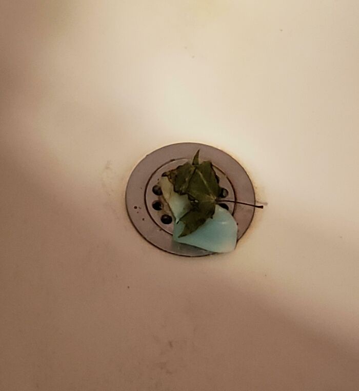 Soap and leaves clogging a bathtub drain, illustrating infuriating boyfriends' habits.