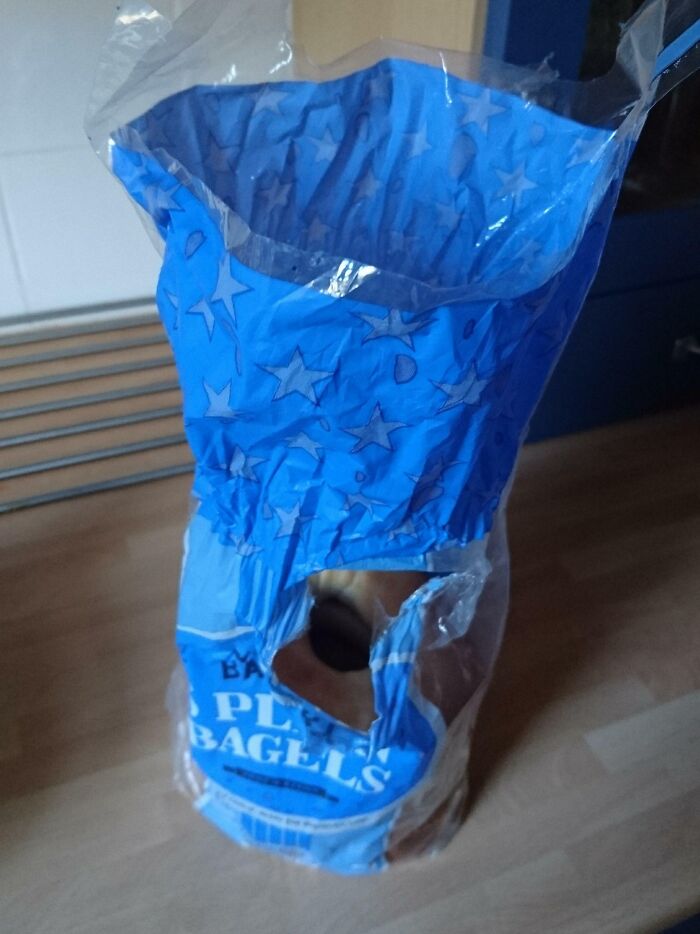 Bag of bagels with an infuriating hole in the middle, illustrating boyfriend-husband frustrations.