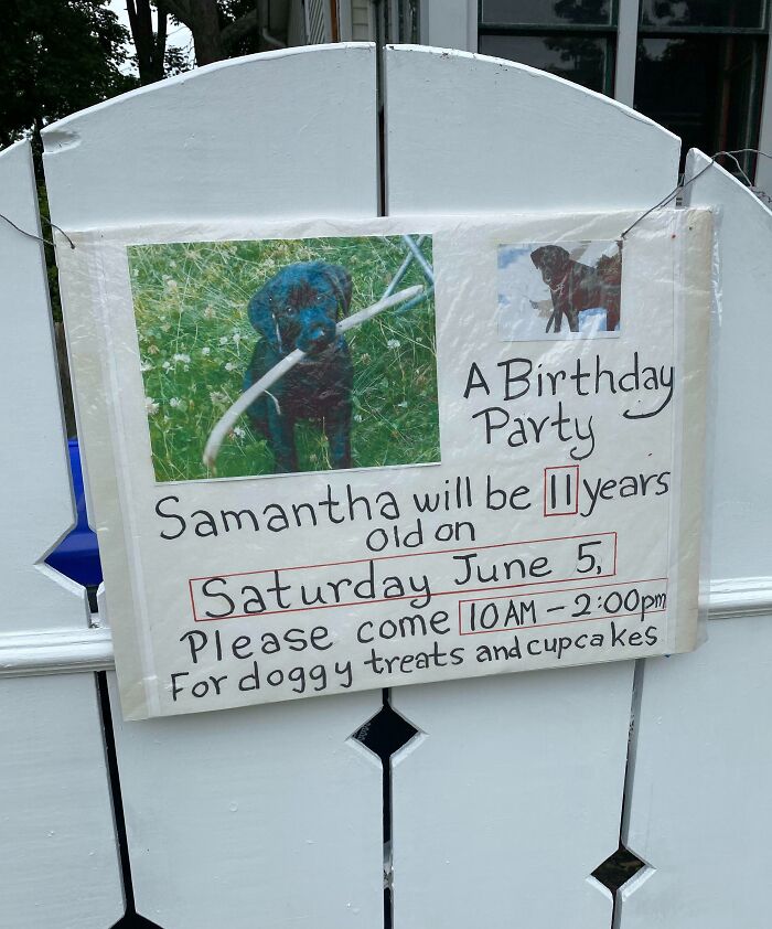 An Elderly Neighbor Of Mine Is Throwing A Birthday Party For His Dog