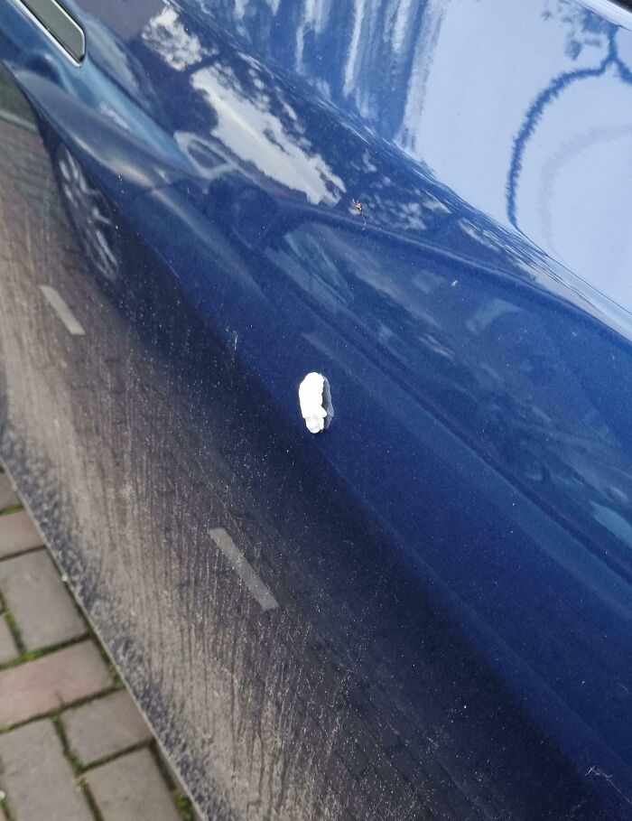 Someone Deemed It Appropriate To Stick A Piece Of Gum On My Car Today