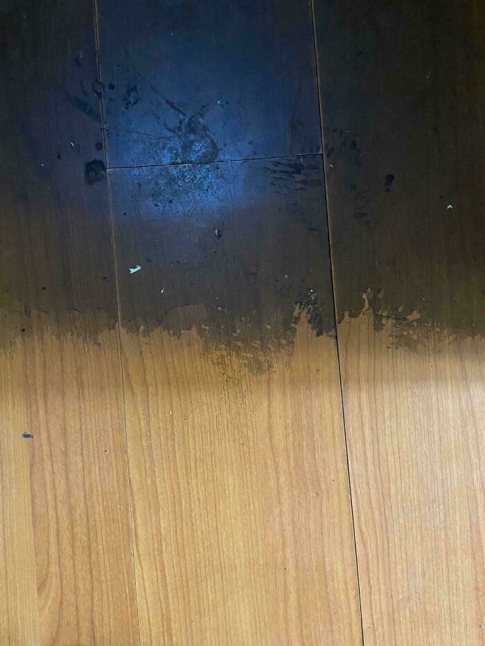 Before-after cleaning pictures show a dramatic difference on a wooden floor, highlighting a clean and shiny surface.