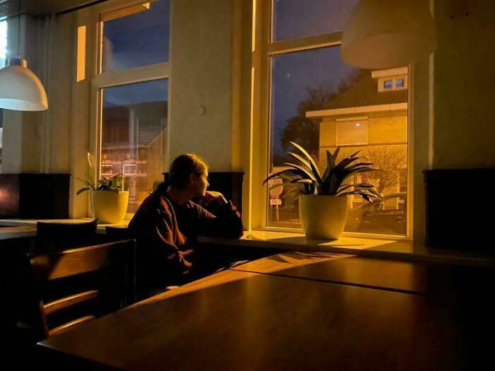 Person sitting by a window in dim lighting resembling a Renaissance painting, with plants and street view in the background.