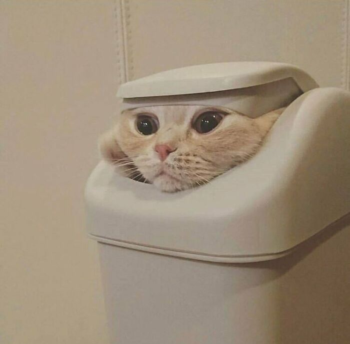 "Tell Cersei. I Want Her To Know It Was Me"