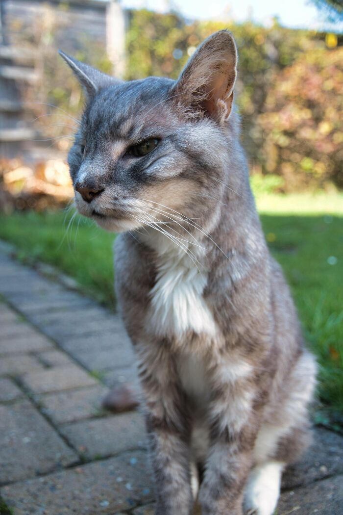 Is My 20 Year Old Still Worthy Of Eyebleach? All He Wants To Do Is Cuddle These Days