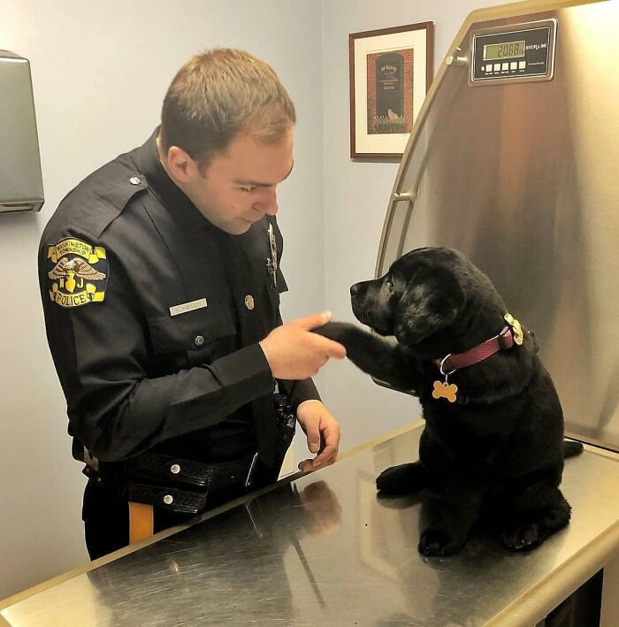 Hello Officer Someone Stole My Treat