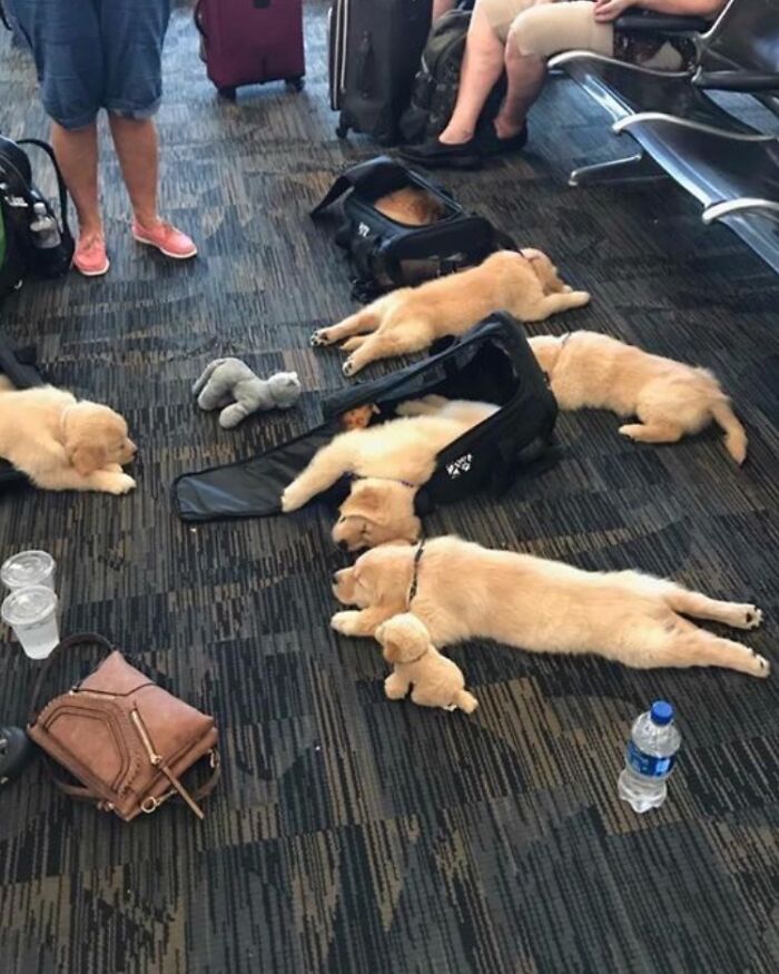 Mrw My Flight Is Delayed