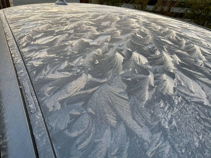 Frost patterns on a car roof, showcasing ice-cold winter artistry.