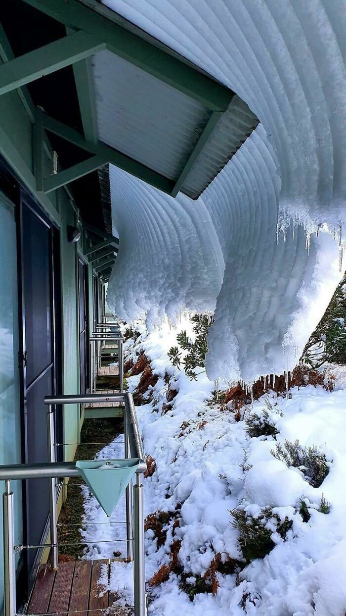 Ice-cold winter scene with heavy snow hanging from a rooftop over snowy ground and plants.