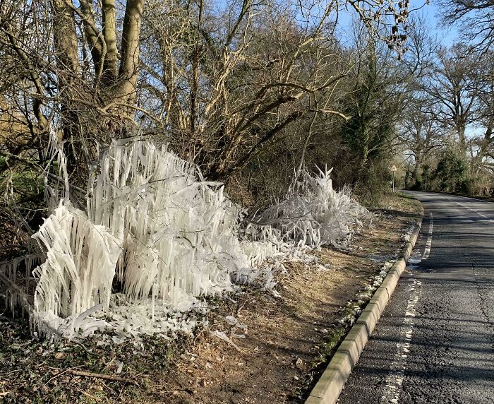 Winter scene with ice formations lining a roadside, surrounded by leafless trees under a clear sky.