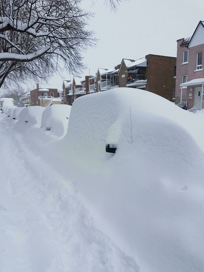 Snow-covered cars and houses in a residential street during an ice-cold winter.