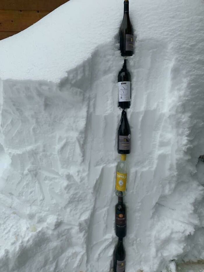 Bottles of wine embedded in a snowbank, showcasing an ice-cold winter setting.