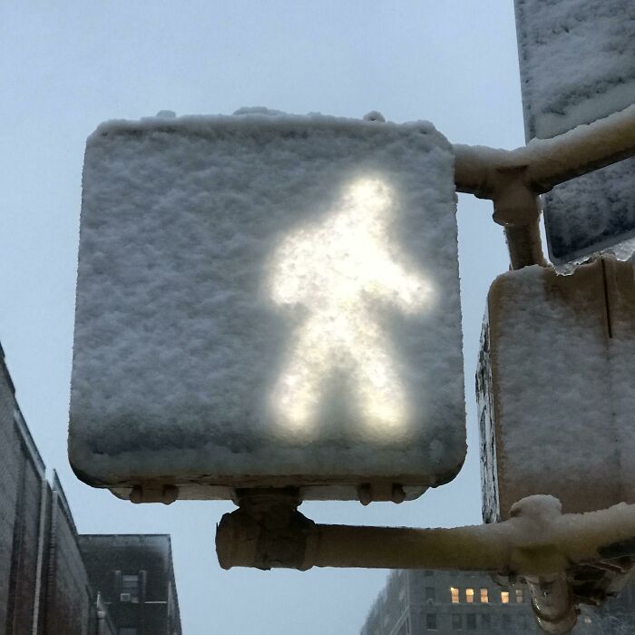 Snow-covered pedestrian signal glowing in a winter setting, illustrating the chill of ice-cold winter scenes.