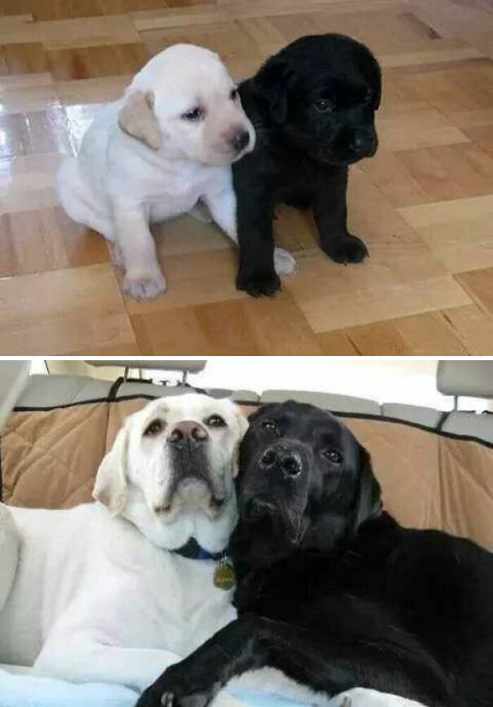 Growing Old Together!