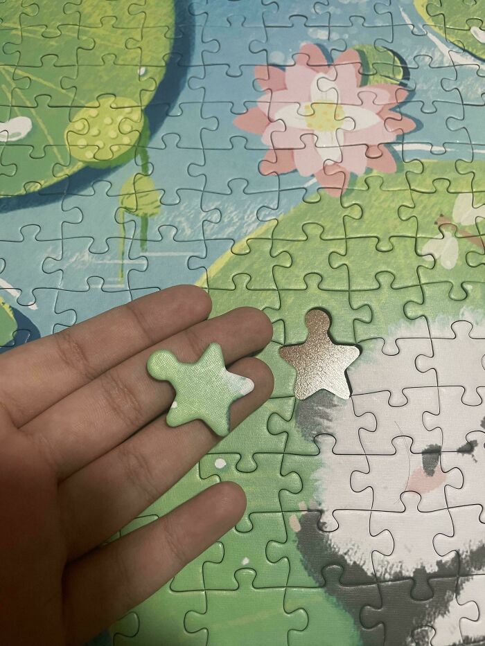 Puzzle Has Normal Pieces Except One Star-Shaped Piece